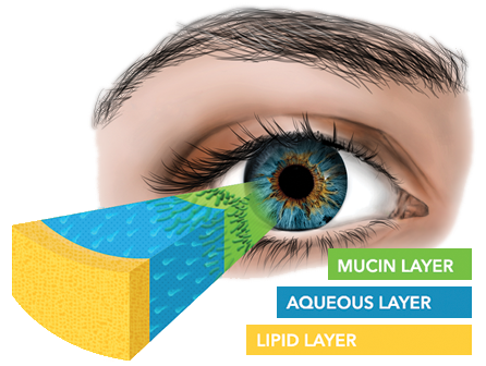 understanding the tear film